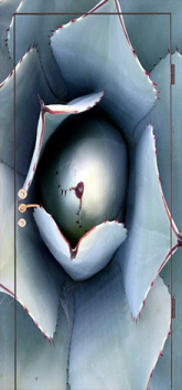 Дверь с фотопечатью №3